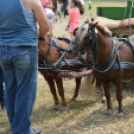 Gyermeknap Lóháton