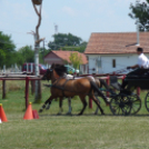 Ló és lovasa című fotókiállítás