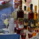 Turisztikai konferencia 2014. május 09. Makó