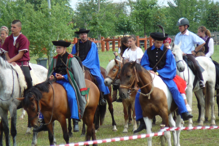Ló és lovasa című fotókiállítás