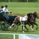 Ló és lovasa című fotókiállítás