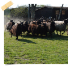 Böjtös Gasztrohétvége