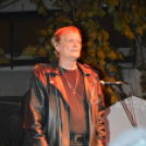 Hagymafesztivál: Bikini koncert képekben