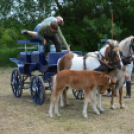 Gyermeknap Lóháton
