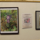 Pál Éva kiállítás megnyitója.