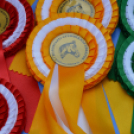 Gyermeknap Lóháton