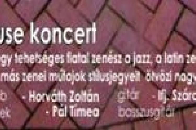 Vasárnapi Zenepavilon: Fuse koncert