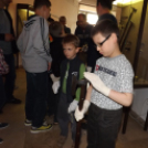 Második interaktív fegyverkiállítás