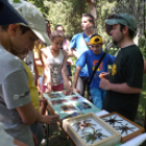 Hatszáz makói diák a Füvészkertben.