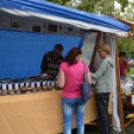 Szombat a Hagymafesztiválon