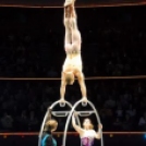 Nagy Ferenc -Rhonrad akrobata