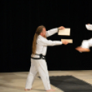 Budo Gála a Hagymaházban