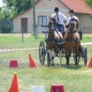 Ló és lovasa című fotókiállítás