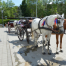 Turisztikai konferencia 2014. május 09. Makó
