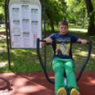 Egészségnap a Gimnáziumban és a Petőfi Parkban