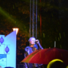 Hagymafesztivál: Bikini koncert képekben