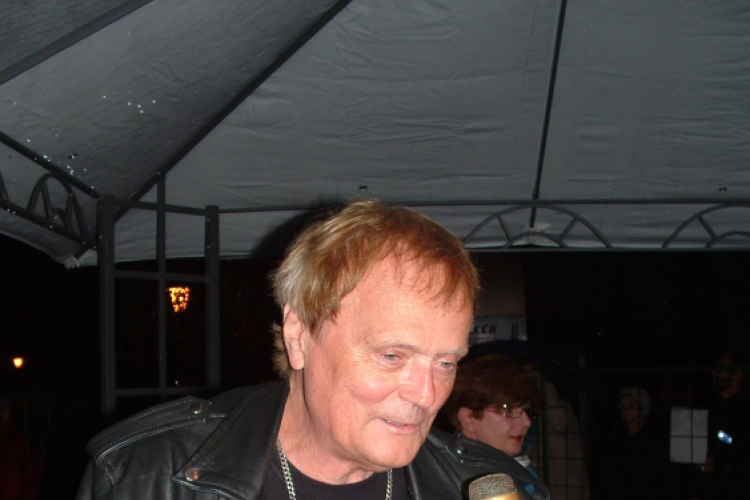 Hagymafesztivál: Bikini koncert képekben