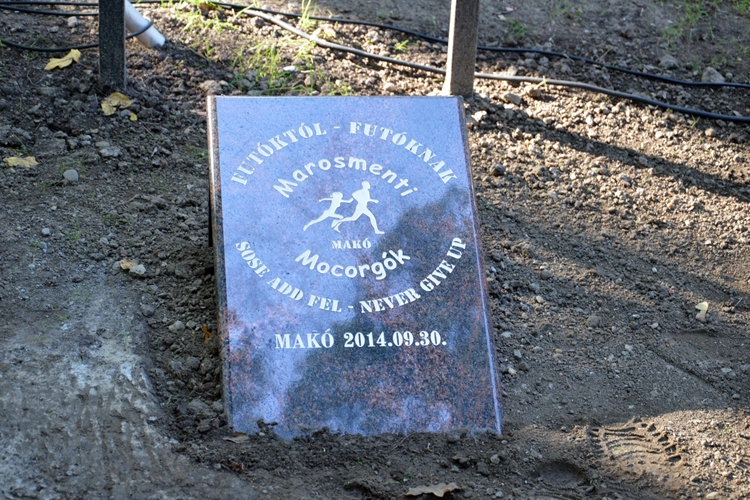 Átadták a futópályát a Petőfi Parkban