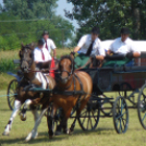 Ló és lovasa című fotókiállítás