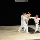 Budo Gála a Hagymaházban