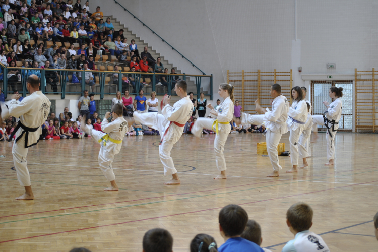 Családi  Sportnap Makón 2.