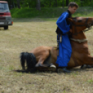 Gyermeknap Lóháton