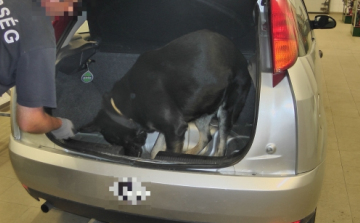 20 kilogrammos marihuána-fogás Röszkén