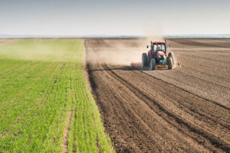 Takarékbank: további drágulásra számítanak az agrárium szereplői