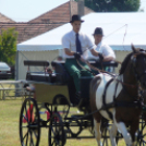 Ló és lovasa című fotókiállítás
