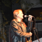 Hagymafesztivál: Bikini koncert képekben