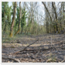 Hagymatikum Kupa tájékozódási futóverseny