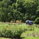 Hatszáz makói diák a Füvészkertben.