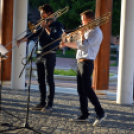 Harsonaszó a Zenepavilonban