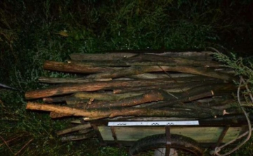 Kiskocsin húzták a lopott fát