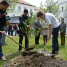 Holokauszt-emléktábla avatás és faültetés