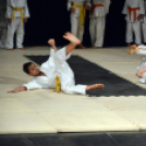 Budo Gála a Hagymaházban