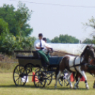 Ló és lovasa című fotókiállítás