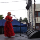 GRILLFESZTIVÁL MAKÓ - Folyamatosan Frissül