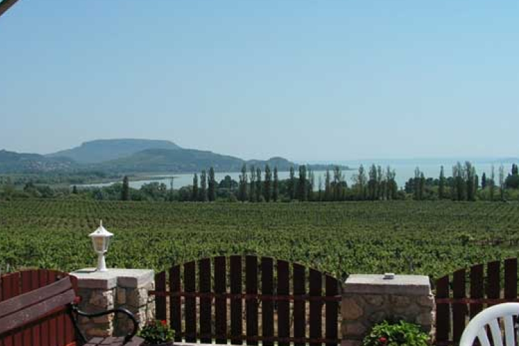 Otthon Centrum: az év első öt hónapjában 40 százalékkal esett a nyaralópiac forgalma