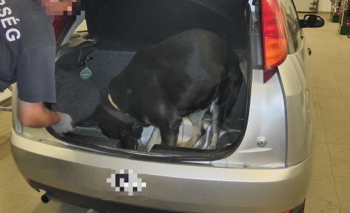 20 kilogrammos marihuána-fogás Röszkén