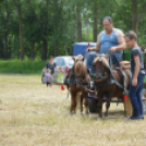 Gyermeknap Lóháton