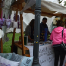 Szombat a Hagymafesztiválon