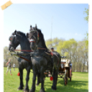 Böjtös Gasztrohétvége