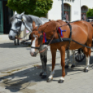 Turisztikai konferencia 2014. május 09. Makó