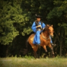 Ló és lovasa című fotókiállítás