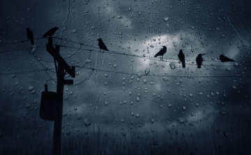 A múlt hónapban kétszer annyi eső esett, mint egy átlagos júliusban