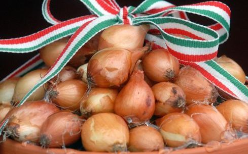 Hungarikummá vált az akácfa és az akácméz is, valamint a makói hagyma