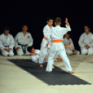 Budo Gála a Hagymaházban