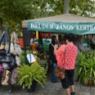 Szombat a Hagymafesztiválon