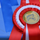 Gyermeknap Lóháton